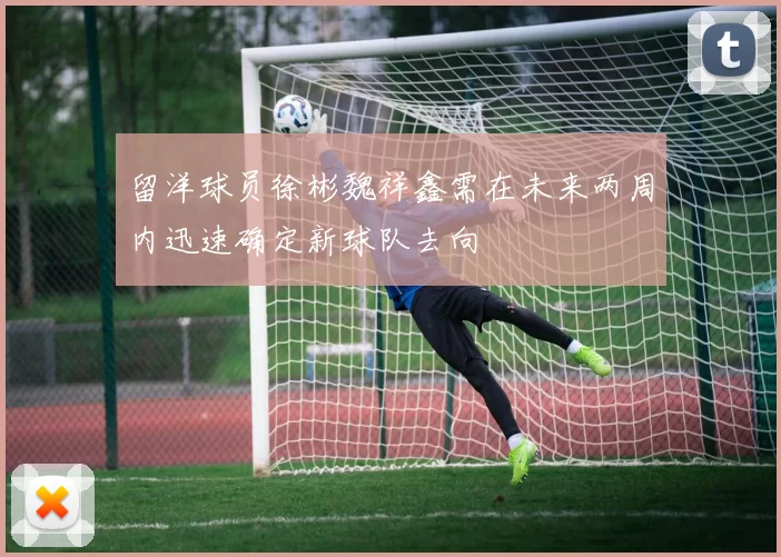 留洋球员徐彬魏祥鑫需在未来两周内迅速确定新球队去向